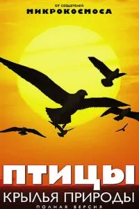 Птицы: Крылья природы